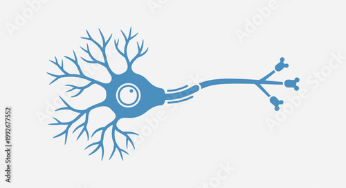 Neuron cell structure with dendrites.