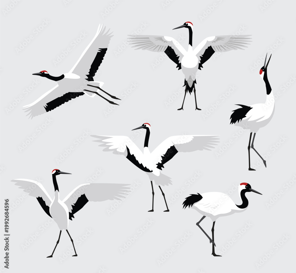 Fototapeta premium Red-Crowned Crane Bird Exotic Various Poses Cartoon Vector Character