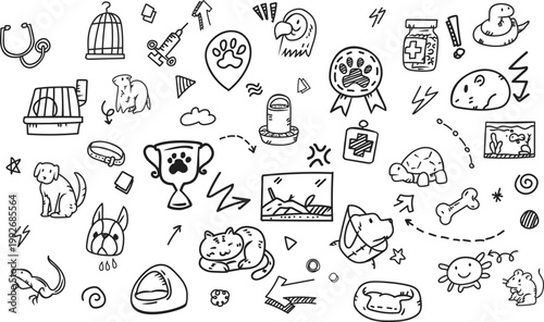 Exotic Pets & Animal Kingdom