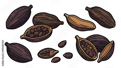Black Cardamom Whole Pods Split Capsules and Seeds Illustration Set Aromatic Spice Collection