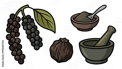 Black Peppercorns Plant Powder and Mortar Illustration Set Pepper Spice Botanical Collection
