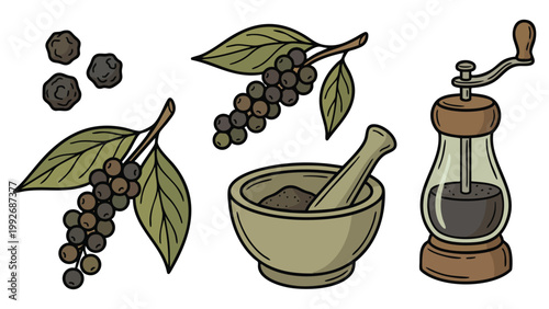 Black Peppercorn Plant Grinder and Mortar Illustration Set Pepper Spice Botanical Collection