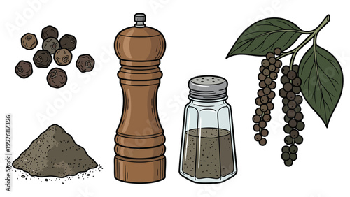 Black Peppercorns Powder Grinder Shaker and Plant Illustration Set Spice Botanical Collection