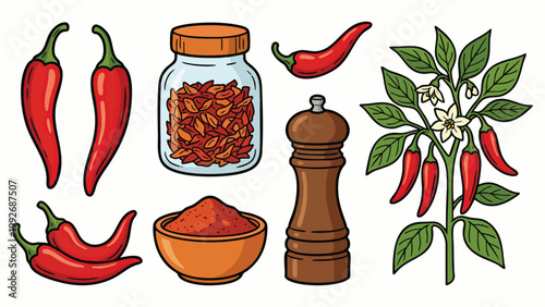 Cayenne Pepper Chili Powder and Fresh Chili Plant Hand Drawn Spice Set