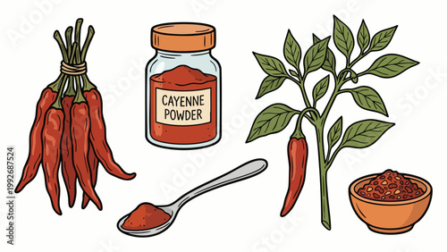 Cayenne Pepper Powder and Dried Chili Bundle Hand Drawn Spice Illustration Set