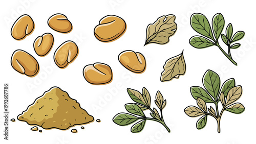 Fenugreek Seeds Powder and Leaves Hand Drawn Herbal Illustration Set