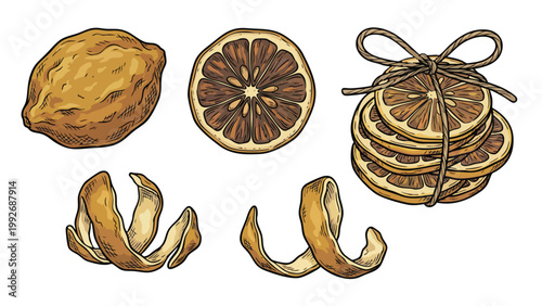 Hand Drawn Dried Lemon Set with Slices and Peel