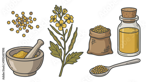 Hand Drawn Mustard Seeds and Mustard Plant Set