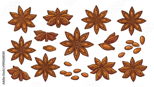 Star Anise Variety Set Illustration with Pods and Seeds Collection