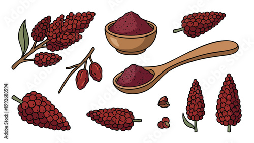 Sumac Spice Collection Illustration with Berries Powder and Spoon