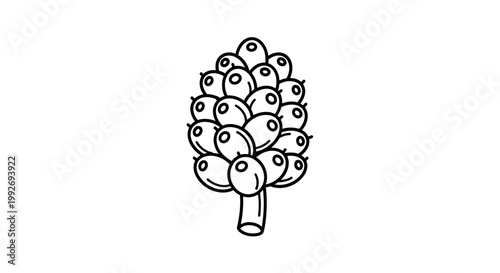 Hand Drawn Illustration of a Bunch of Grapes on a White Background