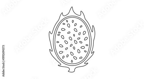 Dragon Fruit Slice Outline Icon, Pitaya Exotic Fruit Cut Half, Vector Illustration