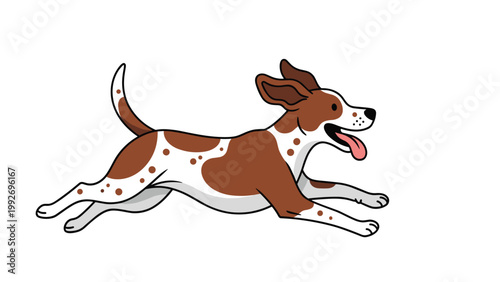 Happy brown and white spotted dog is running joyfully with its ears flapping in the wind and tongue hanging out in excitement.