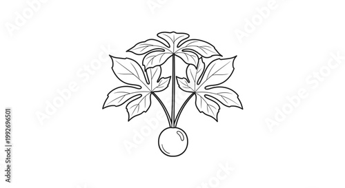 Stylized Black and White Illustration of a Castor Bean Plant with a Seed Pod