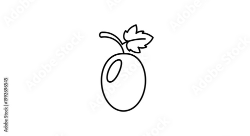 Simple line drawing of a single plum with a stem and leaf