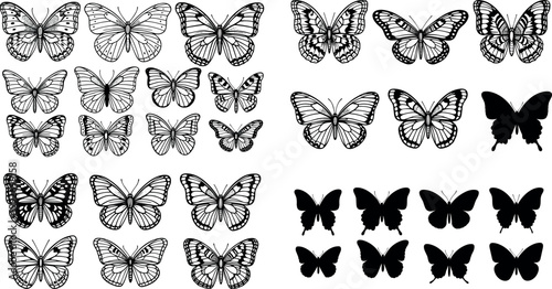 Butterfly outline and silhouette collection detailed insect wings set elegant decorative flying butterflies vector illustration bundle isolated