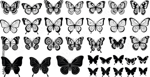Black and white butterfly silhouettes collection detailed insect wings set elegant flying butterflies vector illustration bundle isolated