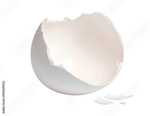 Cracked white shell, empty interior, small fragments at base