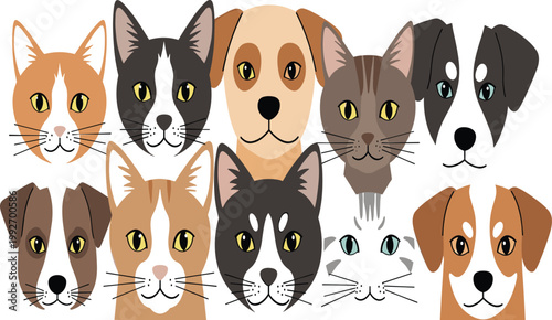 Minimalist flat design dog and cat face icon set with popular domestic pet breeds
