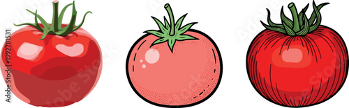 Hand drawn tomato vegetable set with realistic glossy style flat design and detailed sketch versions fresh organic illustration isolated