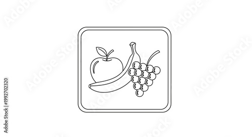Outline Icon of Fruits: Apple, Banana, and Grapes in a Square Frame