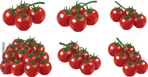 Cherry tomato vector collection with fresh red tomatoes on vine clusters organic vegetable food illustration set isolated