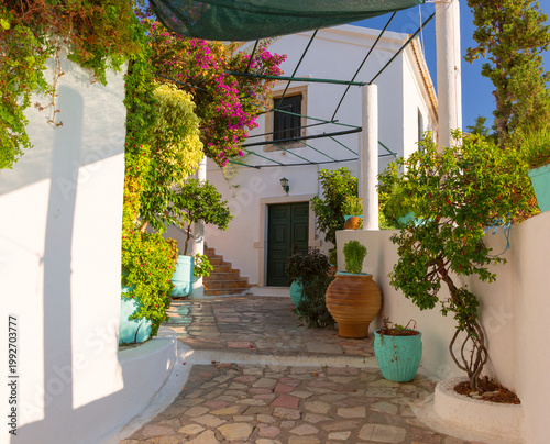 White courtyard with potted plants in Corfu, Greece