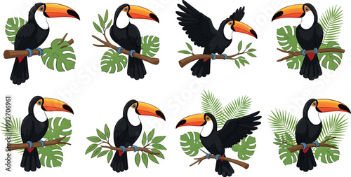 Toucan bird collection with tropical leaves and branches, exotic wildlife cartoon vector illustration set for nature and jungle design