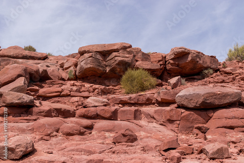 Stepping Up the Canyon: Natural Rock Shelving on the Hualapai Reservation 