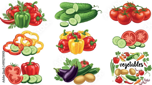 Fresh vegetables set with tomatoes cucumbers peppers and eggplant, organic healthy food collection, detailed vector illustration