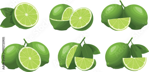 Realistic lime fruit collection with slices and leaves, fresh green citrus set, whole and cut limes detailed vector illustration