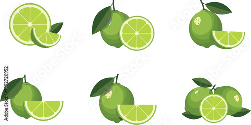 Fresh lime fruit set with slices and leaves, citrus collection of whole and cut limes, green juicy vector illustration