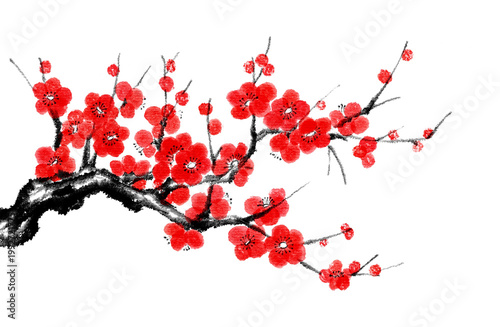 plum blossom