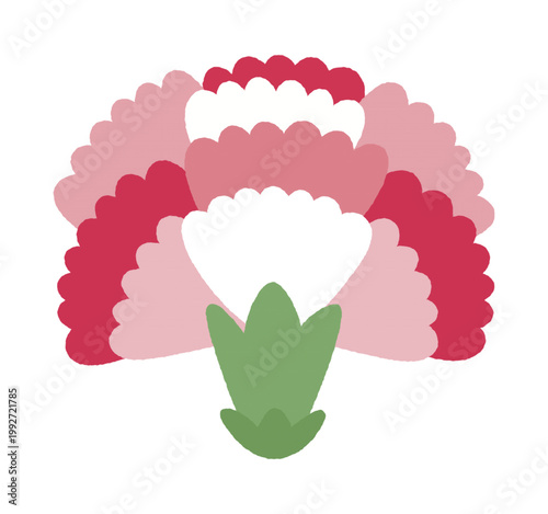 pink carnation flower head
