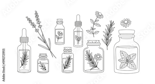 Illustration of jars filled with herbal extracts featuring botanical elements and floral designs on a white background