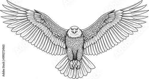 Majestic Bald Eagle Flying with Outstretched Wings Detailed Hand Drawn Style Vector Illustration for Patriotic American Emblems, Wildlife Conservation, and Powerful Branding Identity Logos