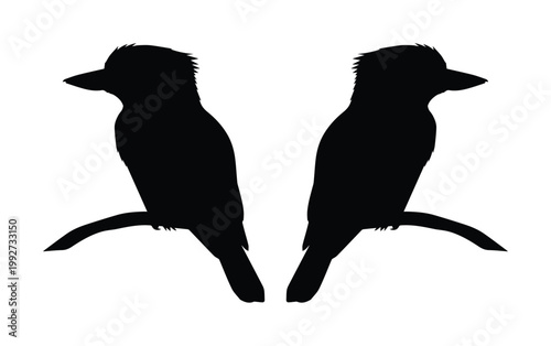 Kookaburra bird silhouette vector, pair of Australian kingfisher birds sitting on branches, black wild animal icons on white background