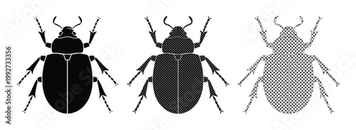 Minimalist beetle insect vector set, black and white bug silhouettes, collection of 3 beetle icons for nature and biology design