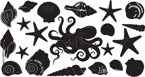 Set of hand drawn seashells drawing ink. Minimalist line art. Summer vacation design elements for trendy prints, label, menu cover. Tropical beach shells. Vector flat illustration.