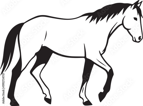 Horse Silhouette Vector