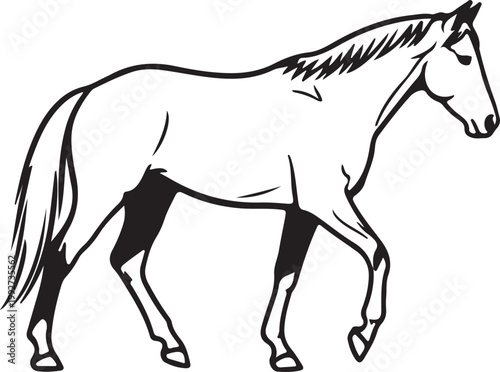 Horse Silhouette Vector