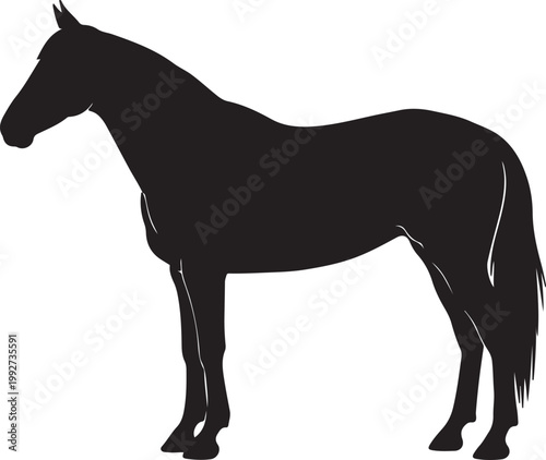 Horse Silhouette Vector