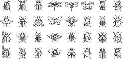 Insect icons set bugs beetles bees dragonflies butterflies collection vector illustration line outline nature symbols