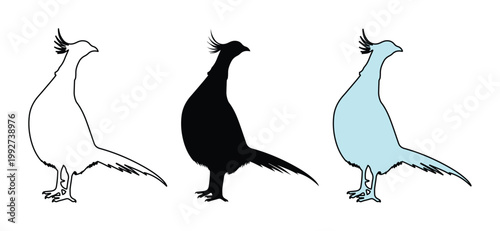 Pheasant bird silhouette vector set, wild game bird icons in black and light blue, hunting and nature conservation graphics for logo design
