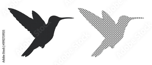 Hummingbird silhouette vector set, black bird icons with halftone pattern, flying colibri graphic elements for nature logo design and branding