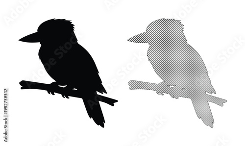 Kookaburra bird silhouette vector set, Australian kingfisher sitting on a branch, black and grey wildlife icons for nature logos and branding