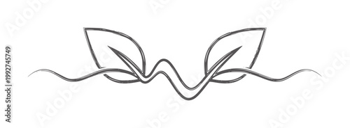Hand drawn charcoal leaves and wavy lines decorative leaf nature organic plant