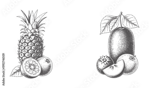 Vintage ink of pineapple with oranges and plum with apple slice
