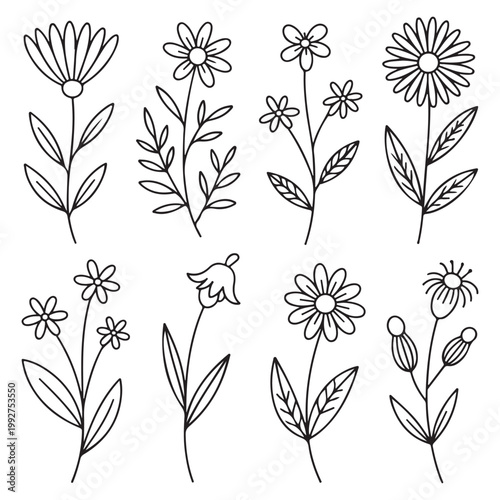 Hand-Drawn Flowers and Botanical Elements Minimal Black Line Art Illustration Set