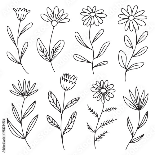 Hand-Drawn Flowers and Botanical Elements Minimal Black Line Art Illustration Set
